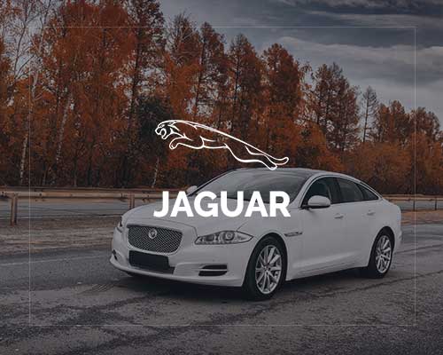 Jaguar